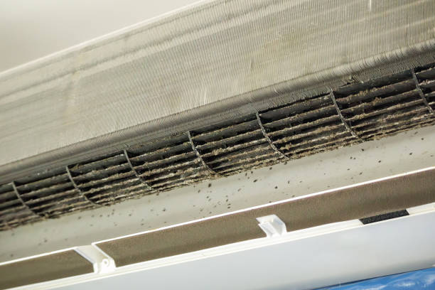 Best Air Duct Cleaning Near Me  in Berry Hill, TN